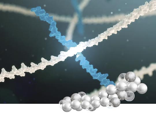 IBSA Technologies: NAHYCO