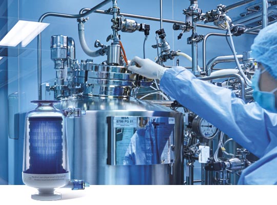 IBSA Technologies: Purification Process